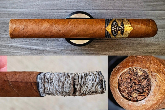 Isla del Cocodrilo Toro by Warped