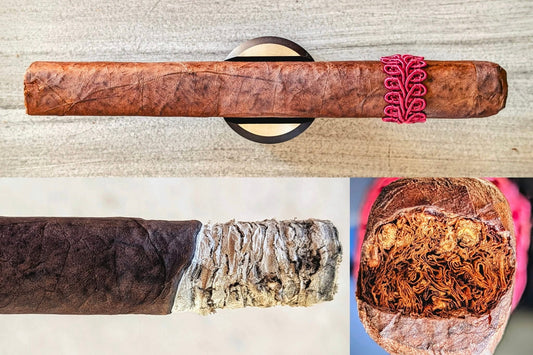 The Conception LE 2025 by Definition Cigars