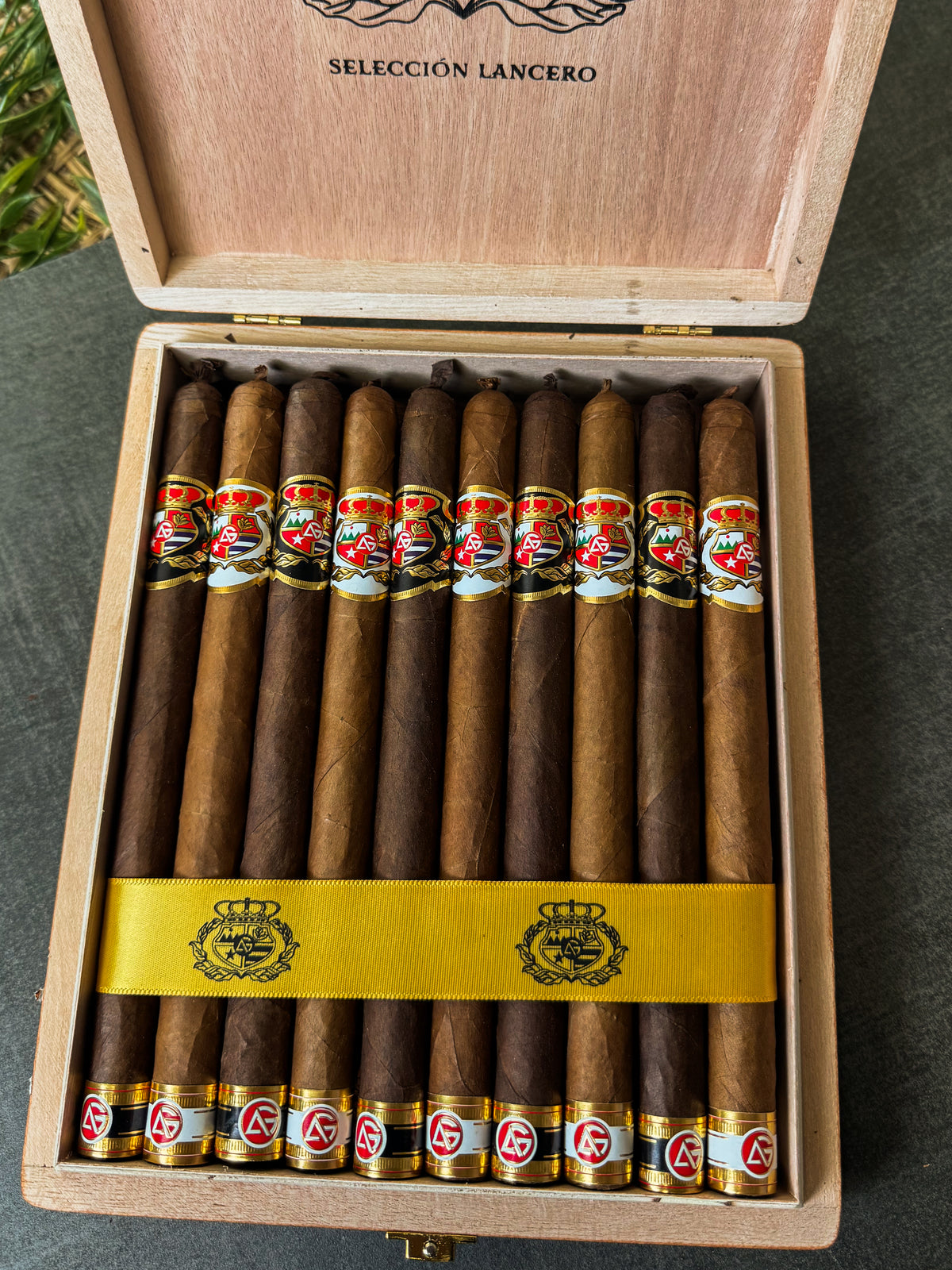AG Seleccion Lancero
