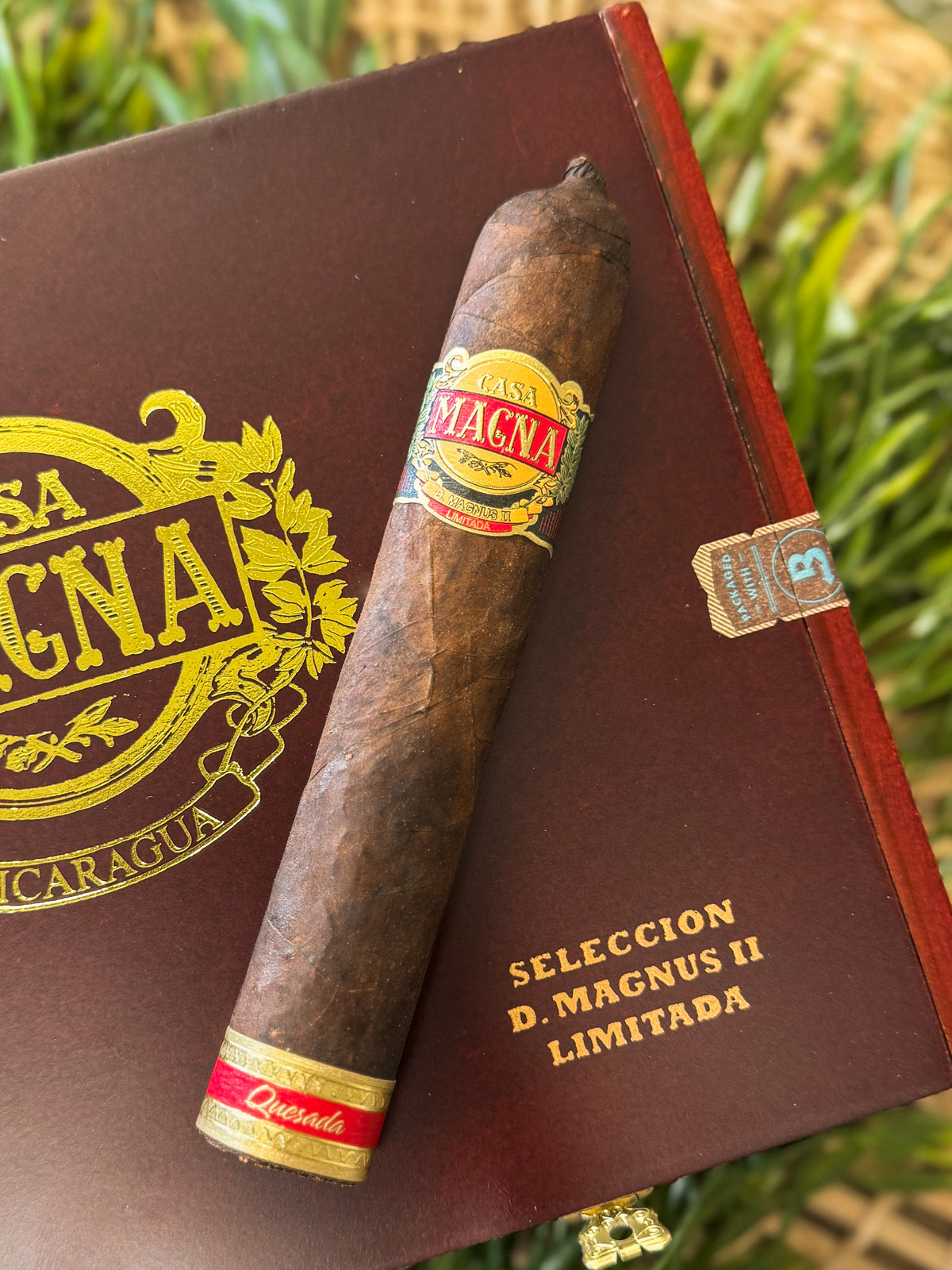 Casa Magna D Magnus II Tiberius