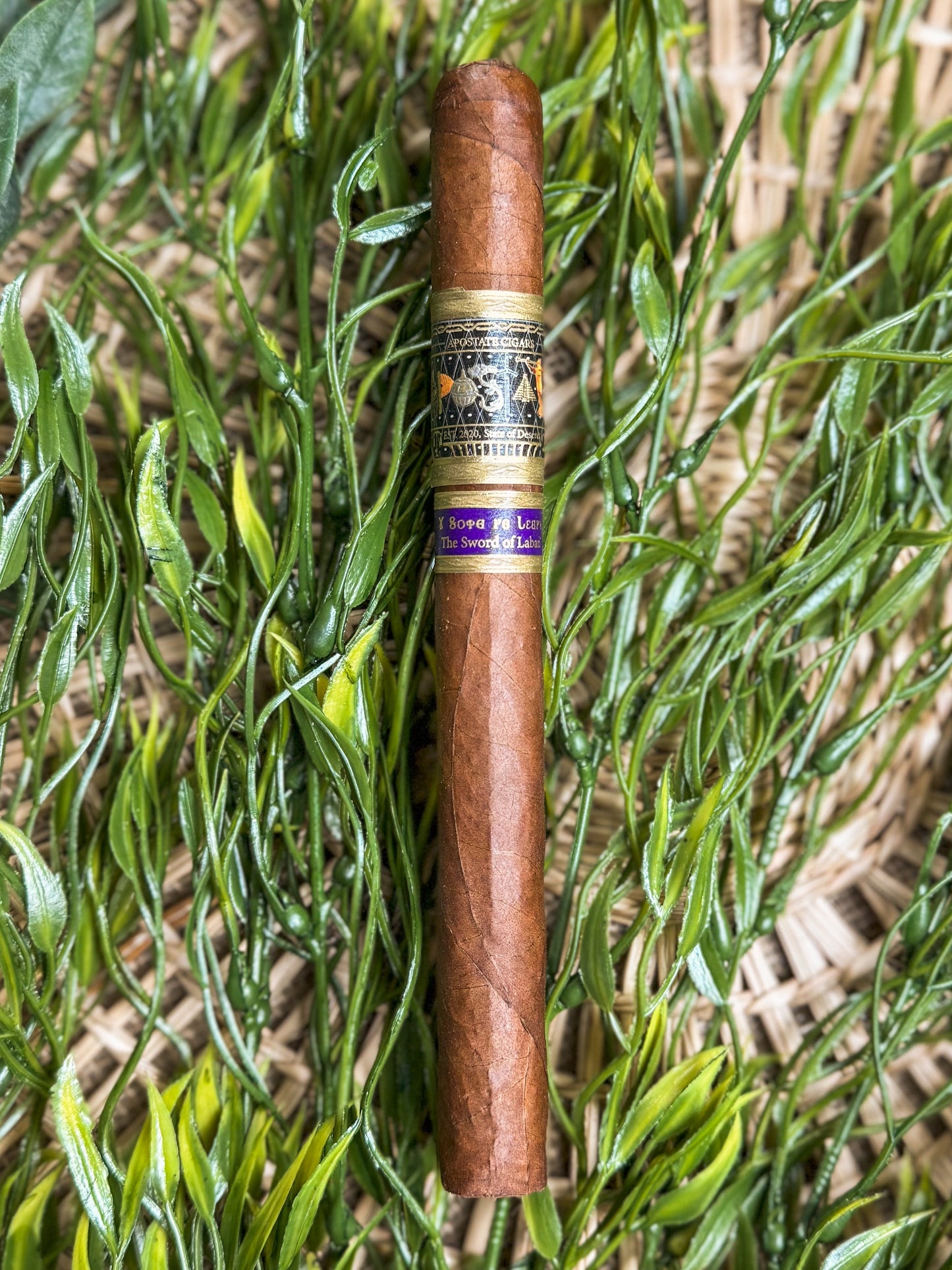 The Sword of Laban