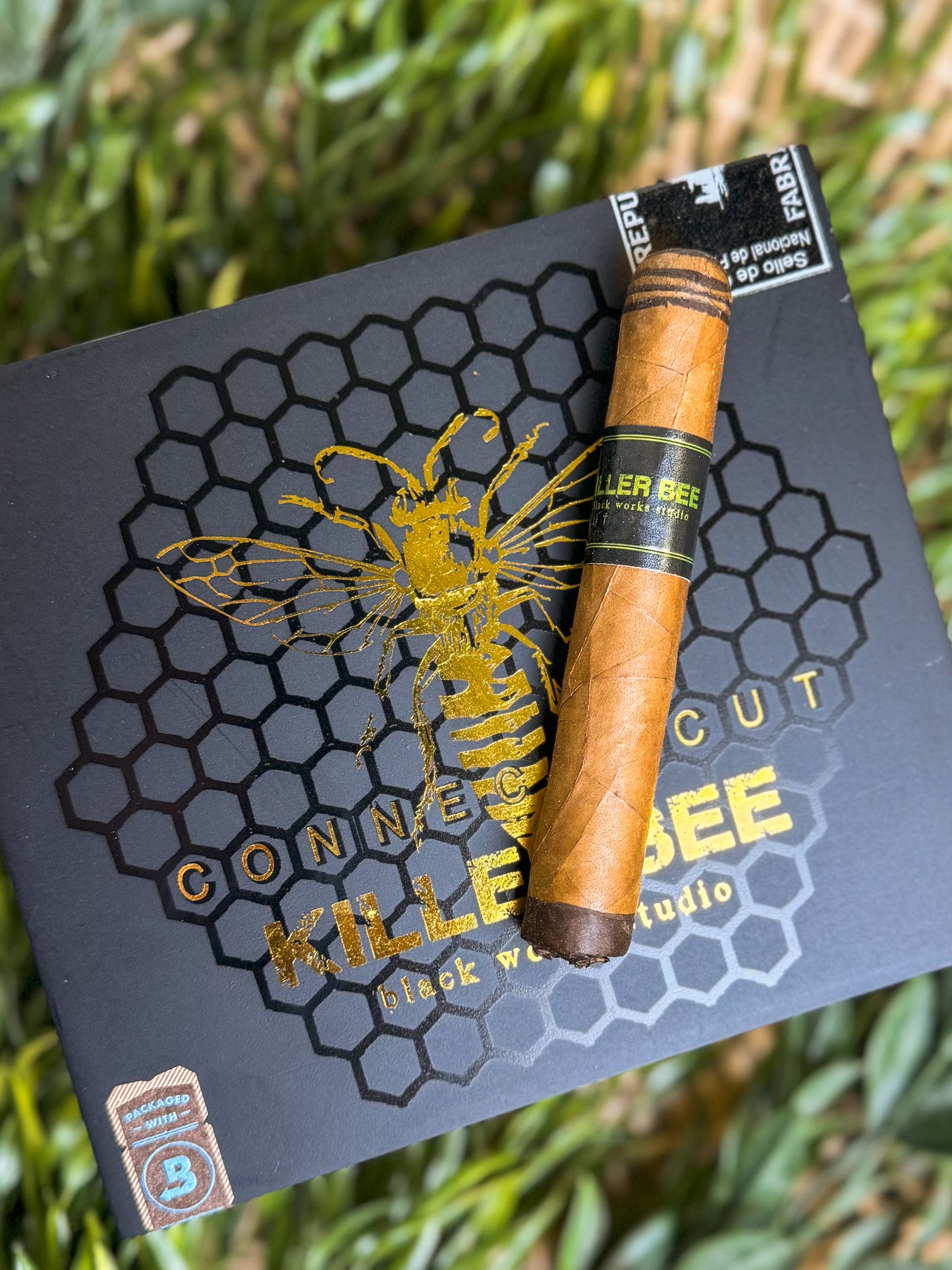 Killer Bee Connecticut