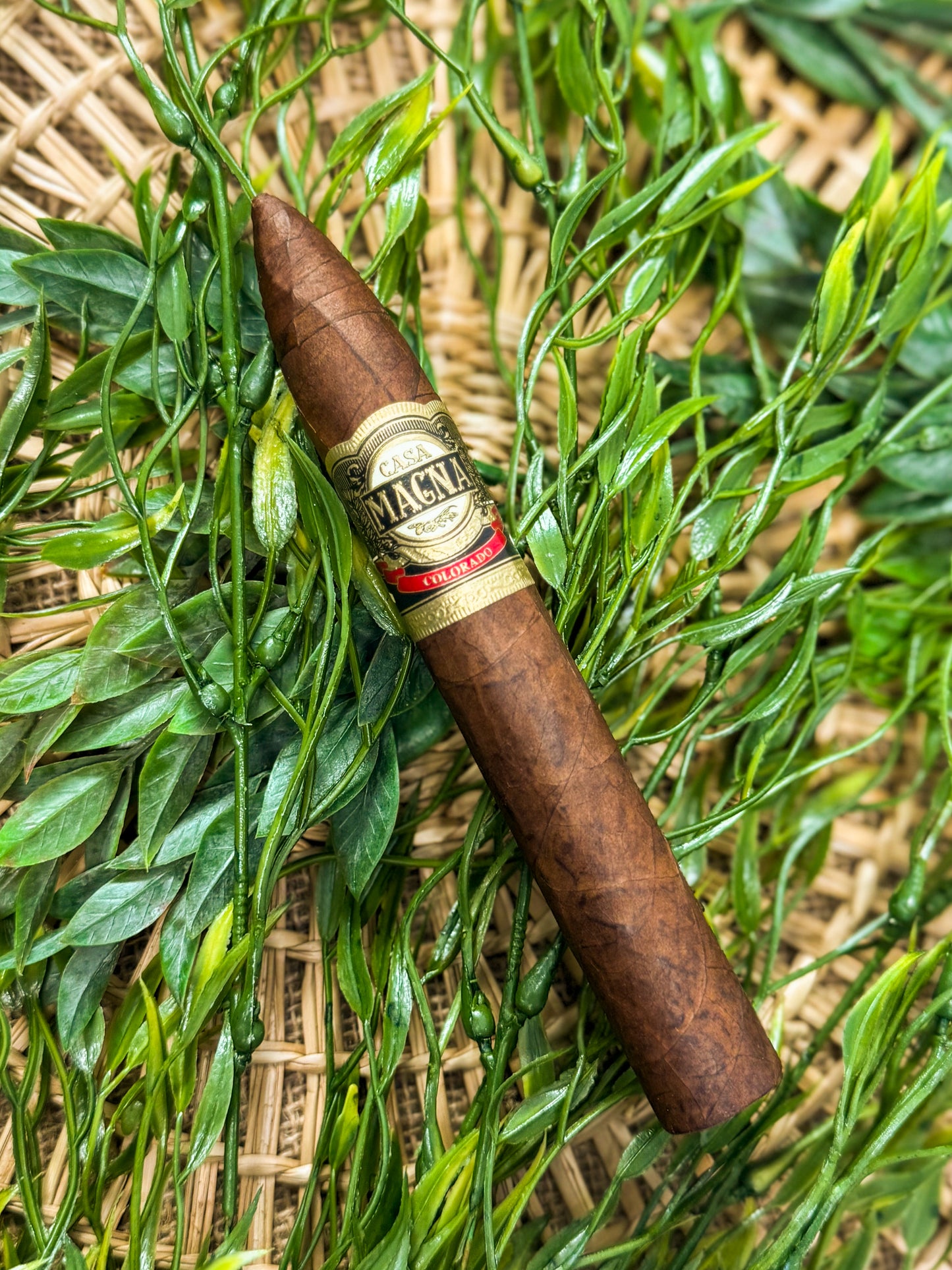Casa Magna Colorado