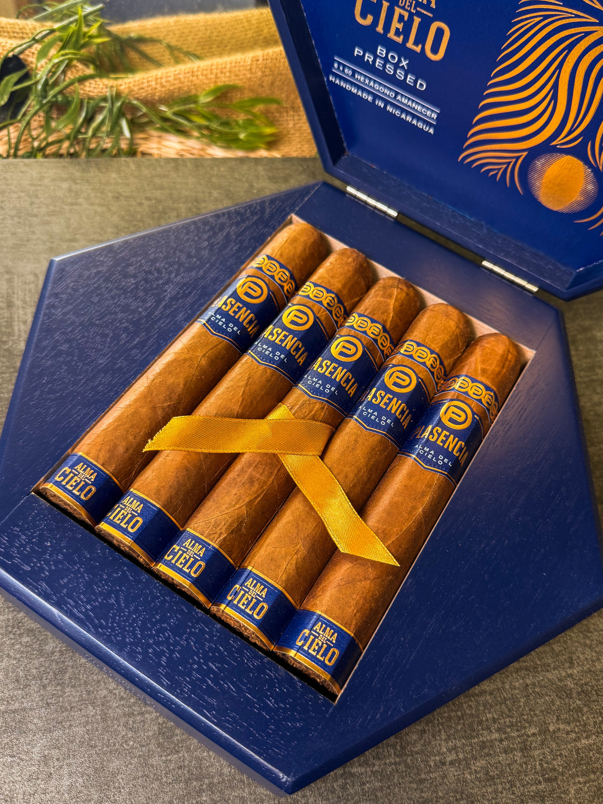 Plasencia Cigars Alma Del Cielo