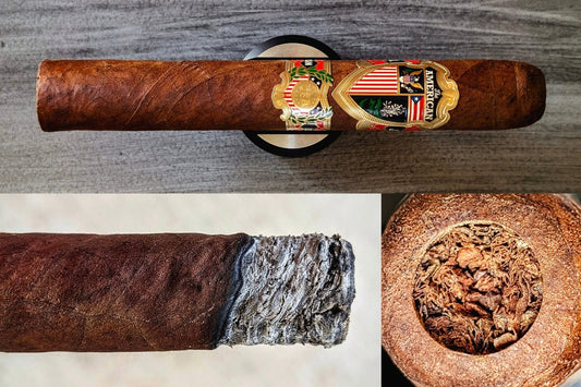 The American by J.C Newman