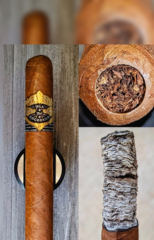 Isla del Cocodrilo Toro by Warped
