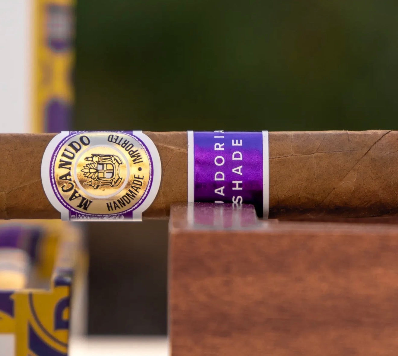 Macanudo Ecuadorian Shade