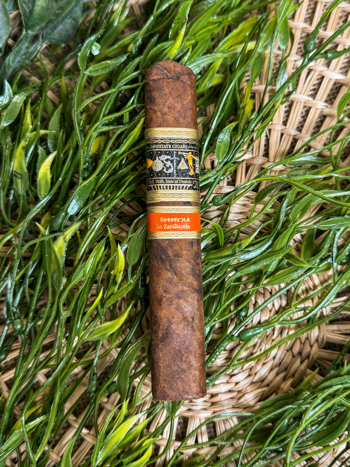 Apostate Cigars The Zarahemla