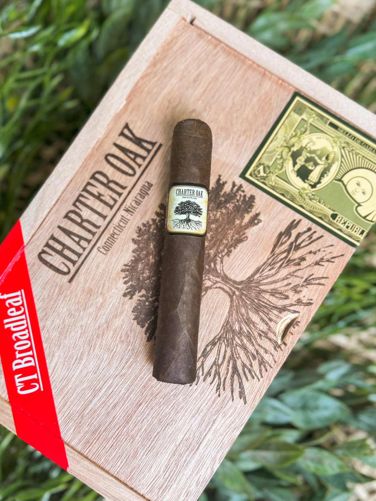 Charter Oak CT Broadleaf Maduro Cigar