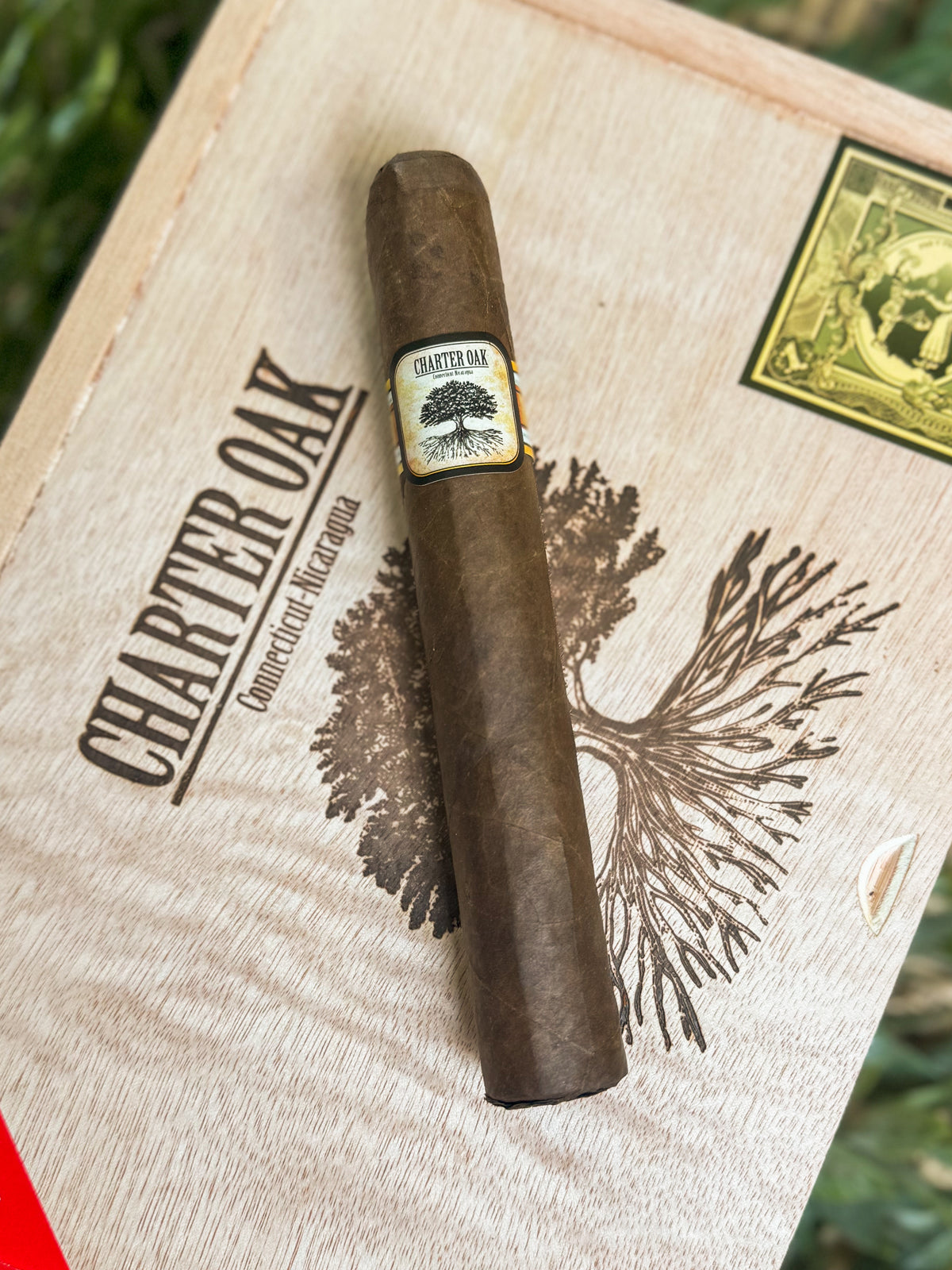 Charter Oak CT Broadleaf Maduro Grande