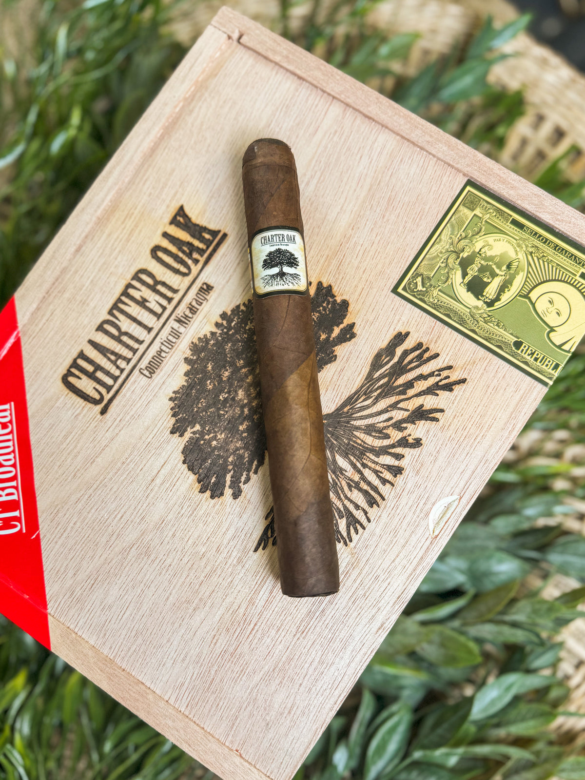 Charter Oak CT Broadleaf Maduro Toro