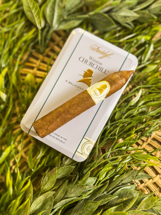 Davidoff Winston Churchill Belicosos