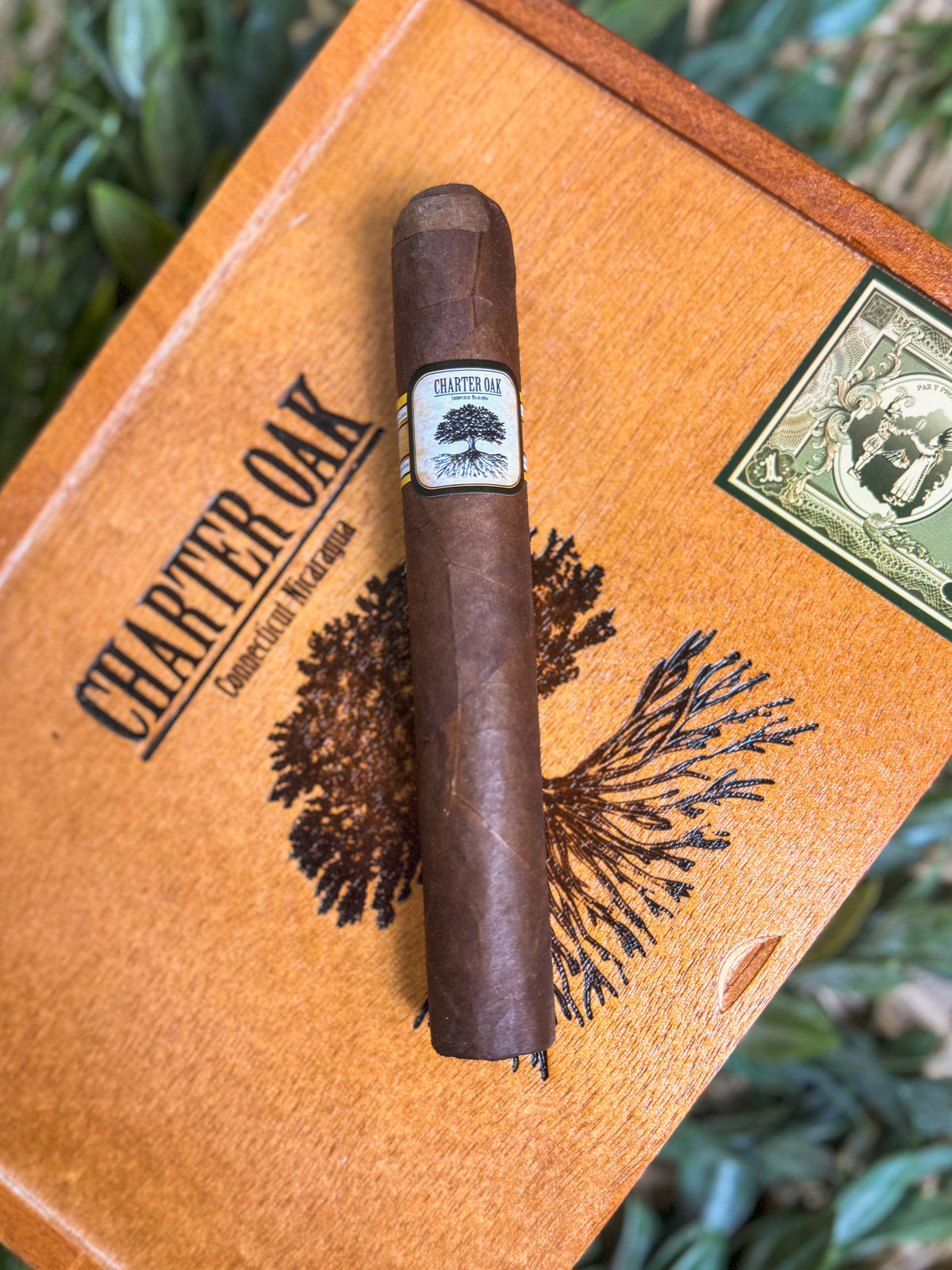 Foundation Cigars Charter Oak Habano Grande