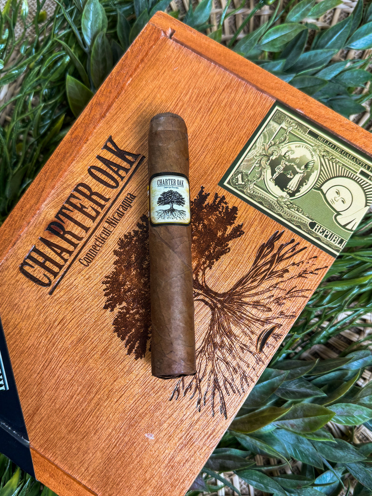 Foundation Cigars Charter Oak Habano Rothschild