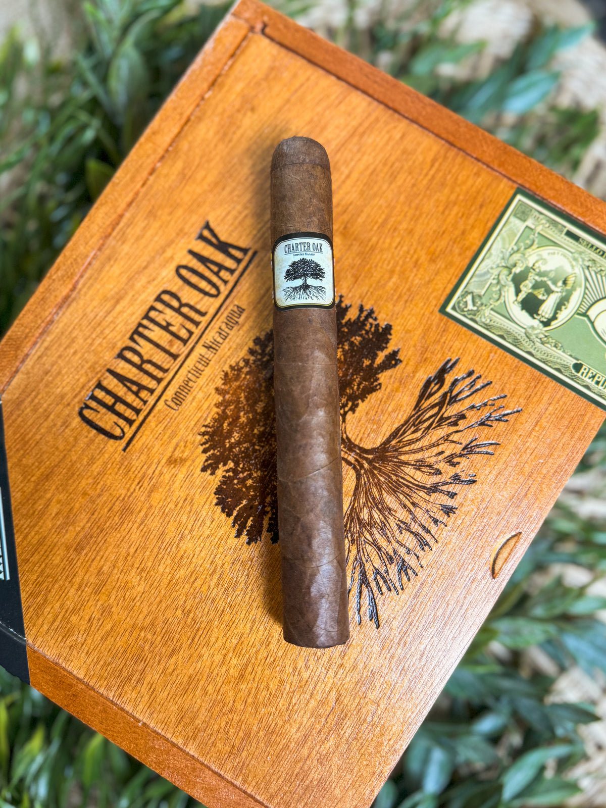 Foundation Cigars Charter Oak Habano Toro