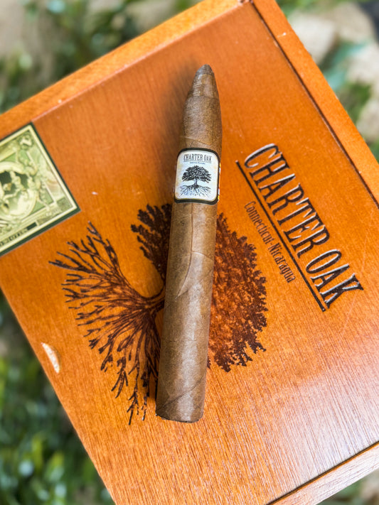 Foundation Cigars Charter Oak Habano Torpedo