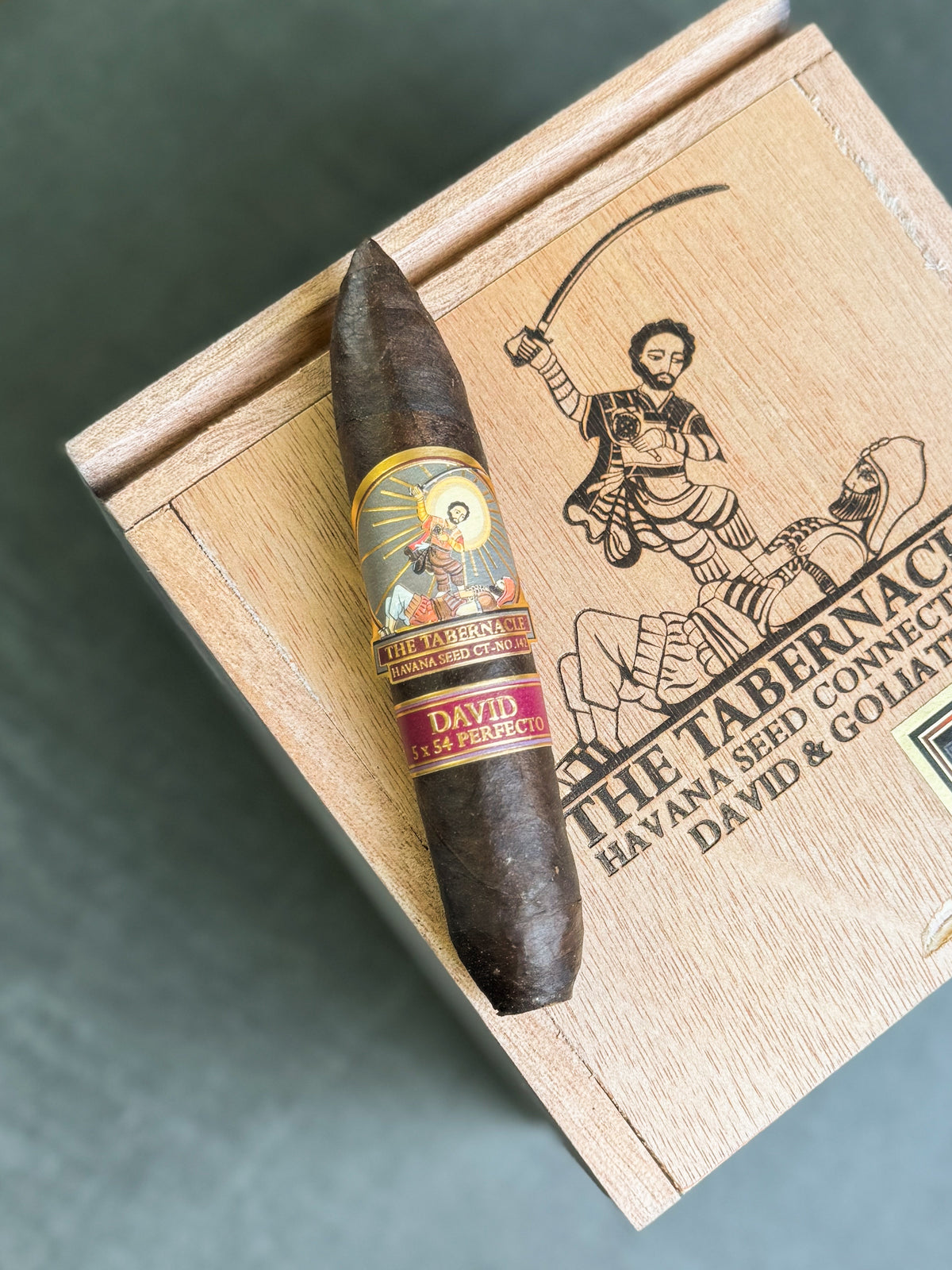 Foundation Havana Seed CT-142 David