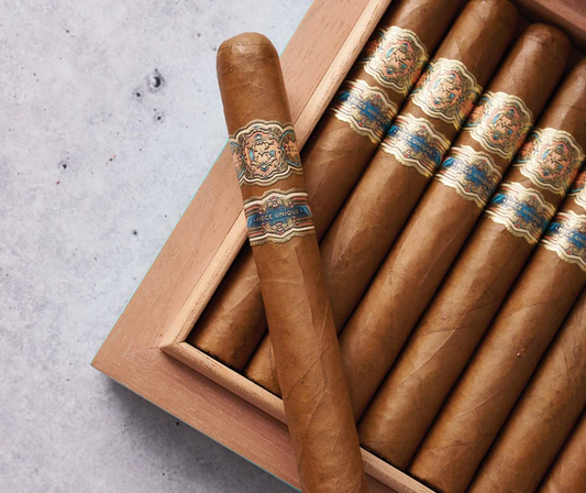 Cigars with decorative bands in a wooden box on a light gray background