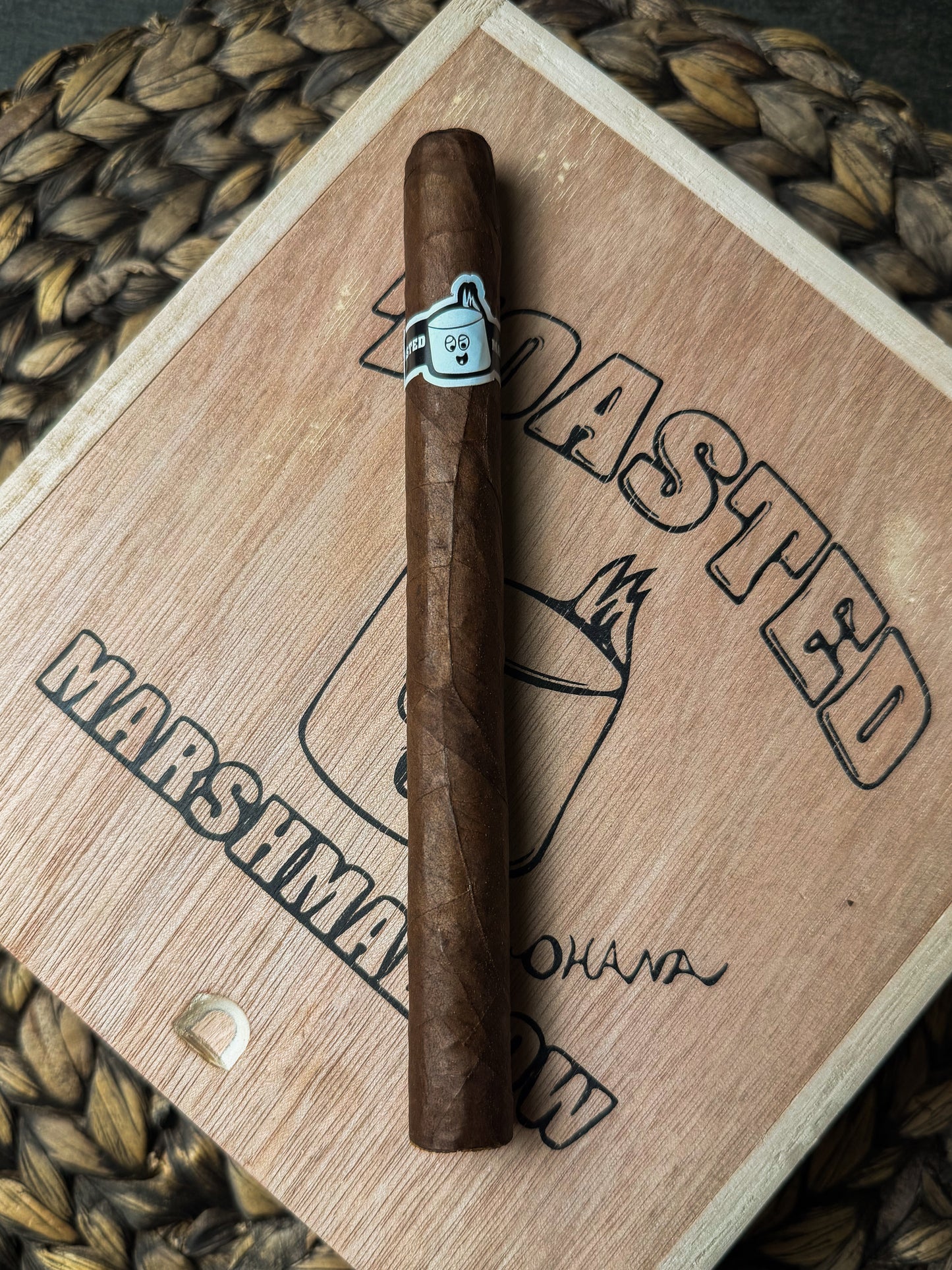 Toasted Marshmallows