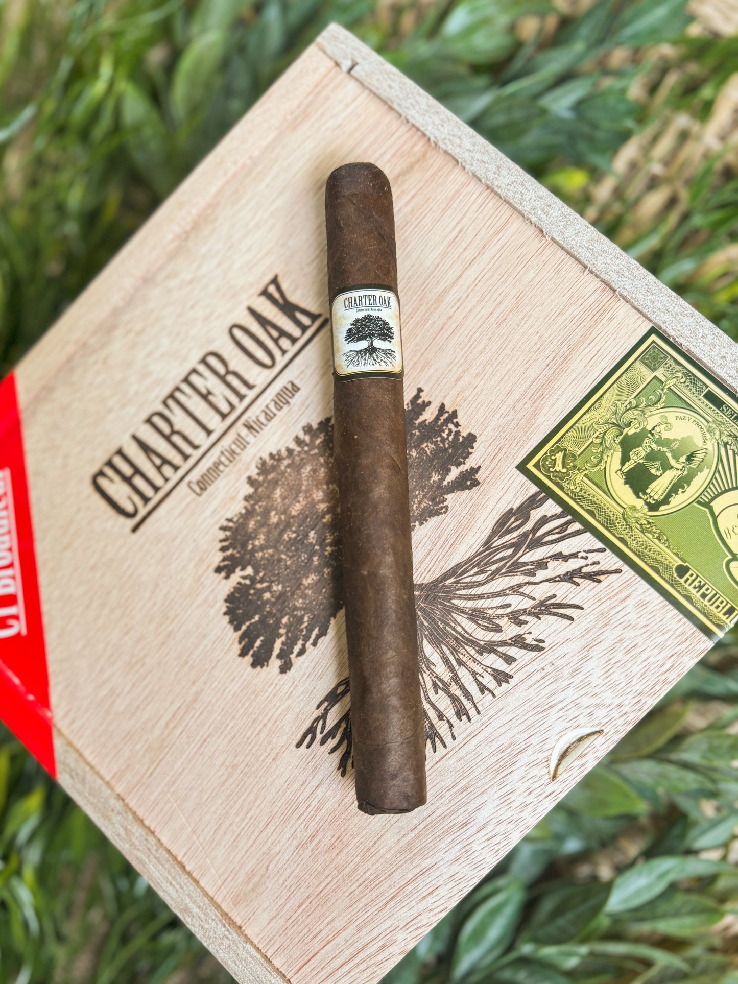 Charter Oak CT Broadleaf Maduro