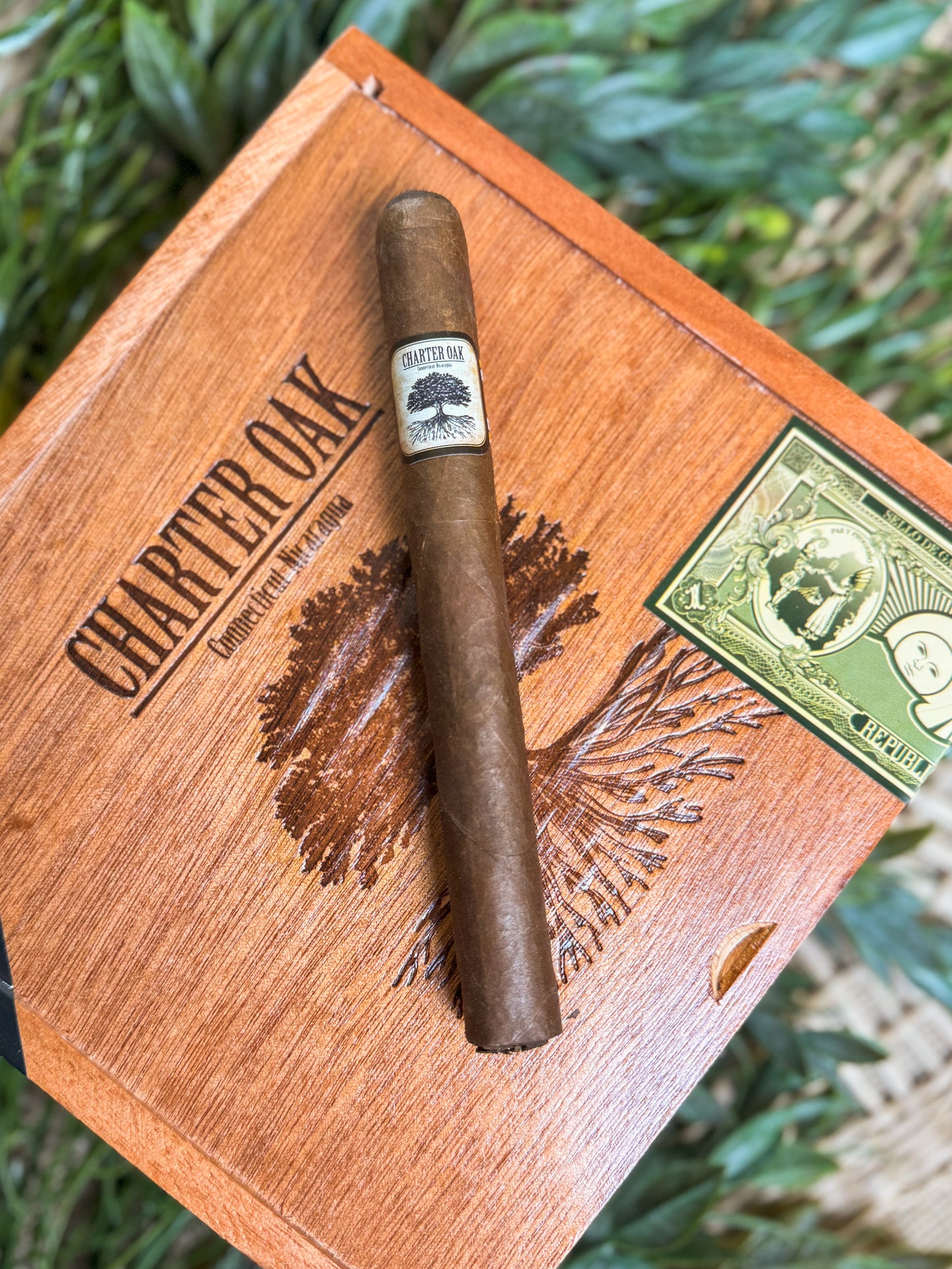 Charter Oak Habano