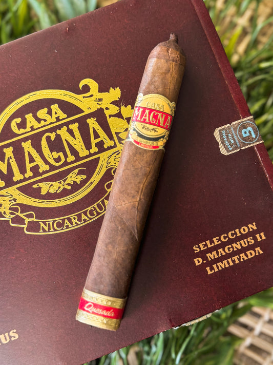 Casa Magna D. Magnus II