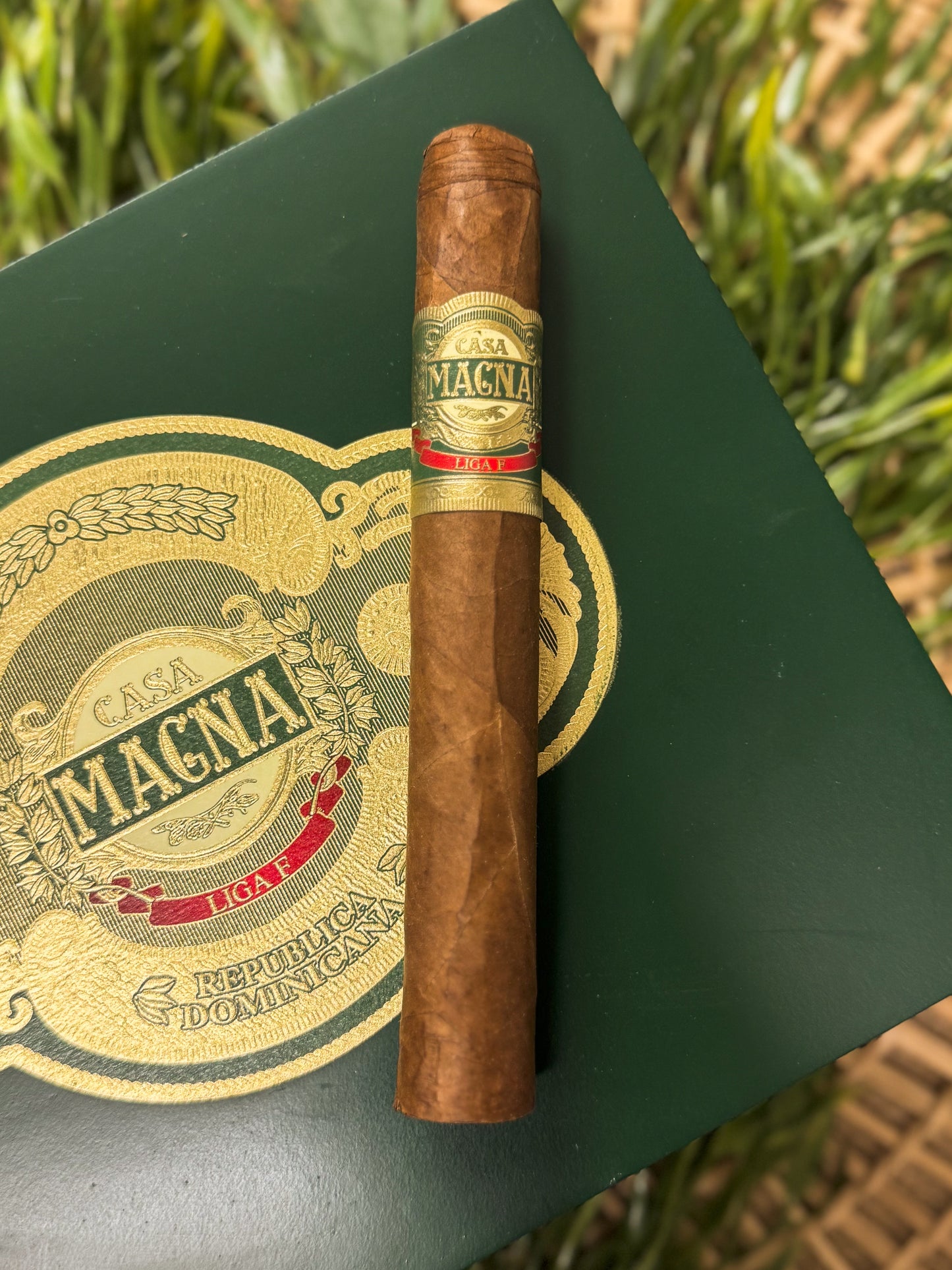 Casa Magna Liga F