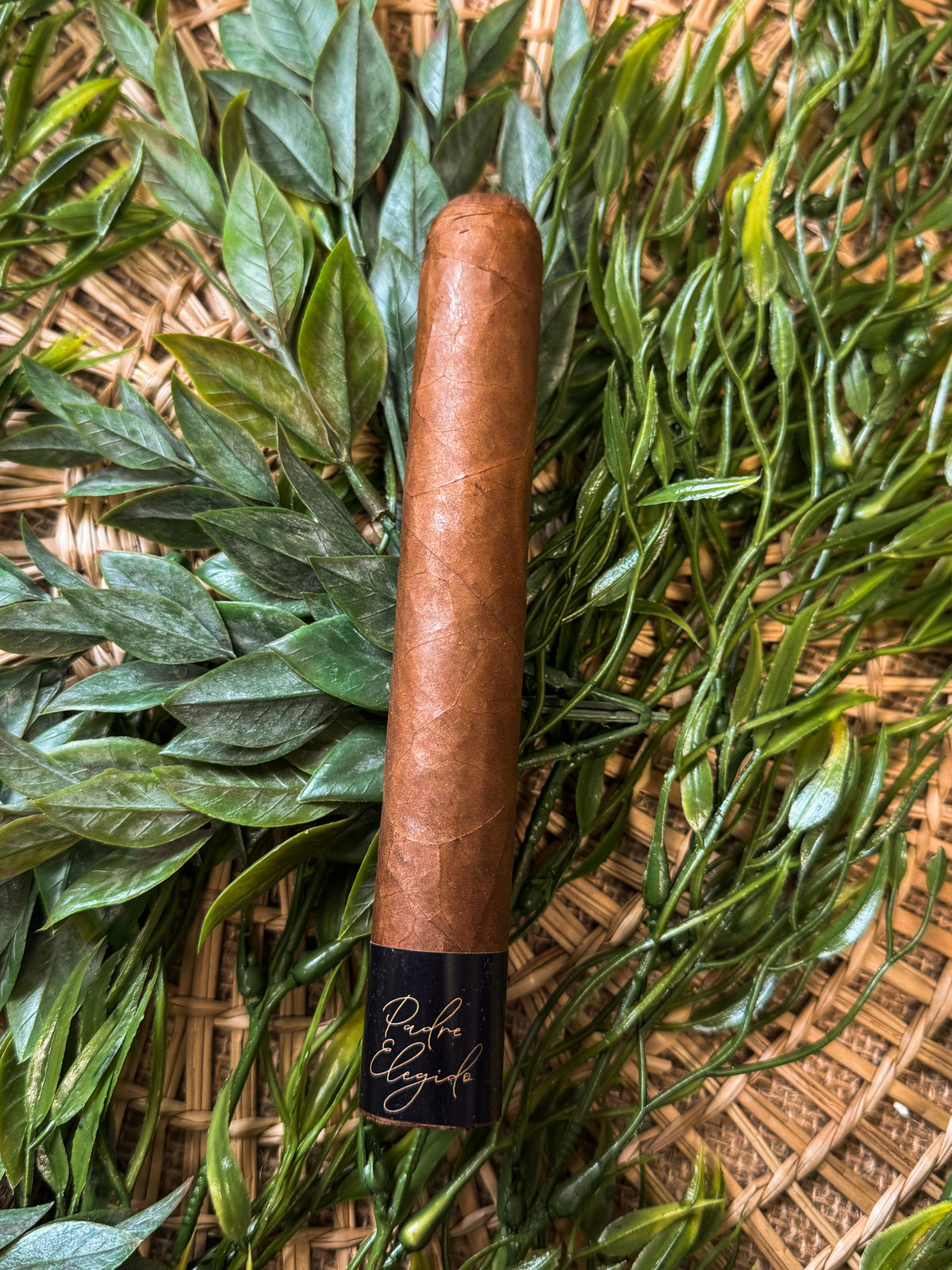 LA Cigar Collective Padre Elegido Armorosos
