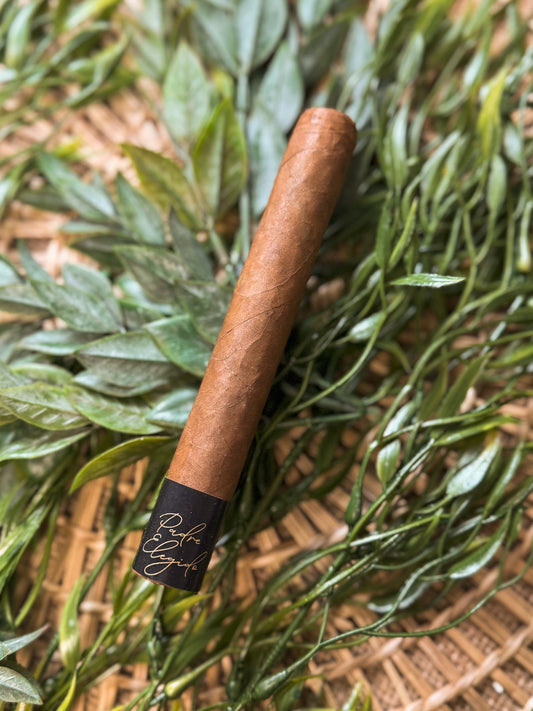 LA Cigar Collective Padre Elegido No 1