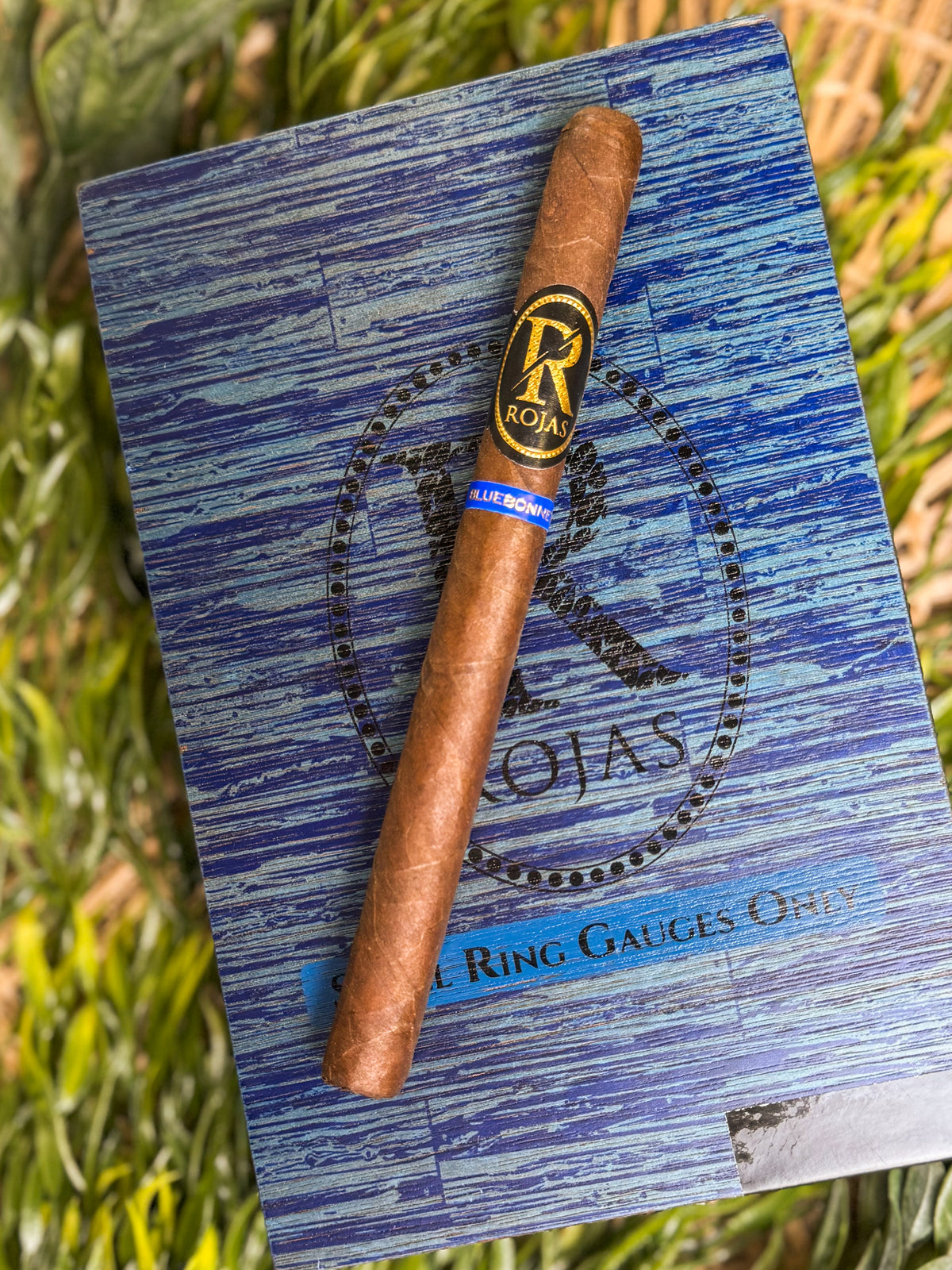 Rojas Cigars Bluebonnet Lancero