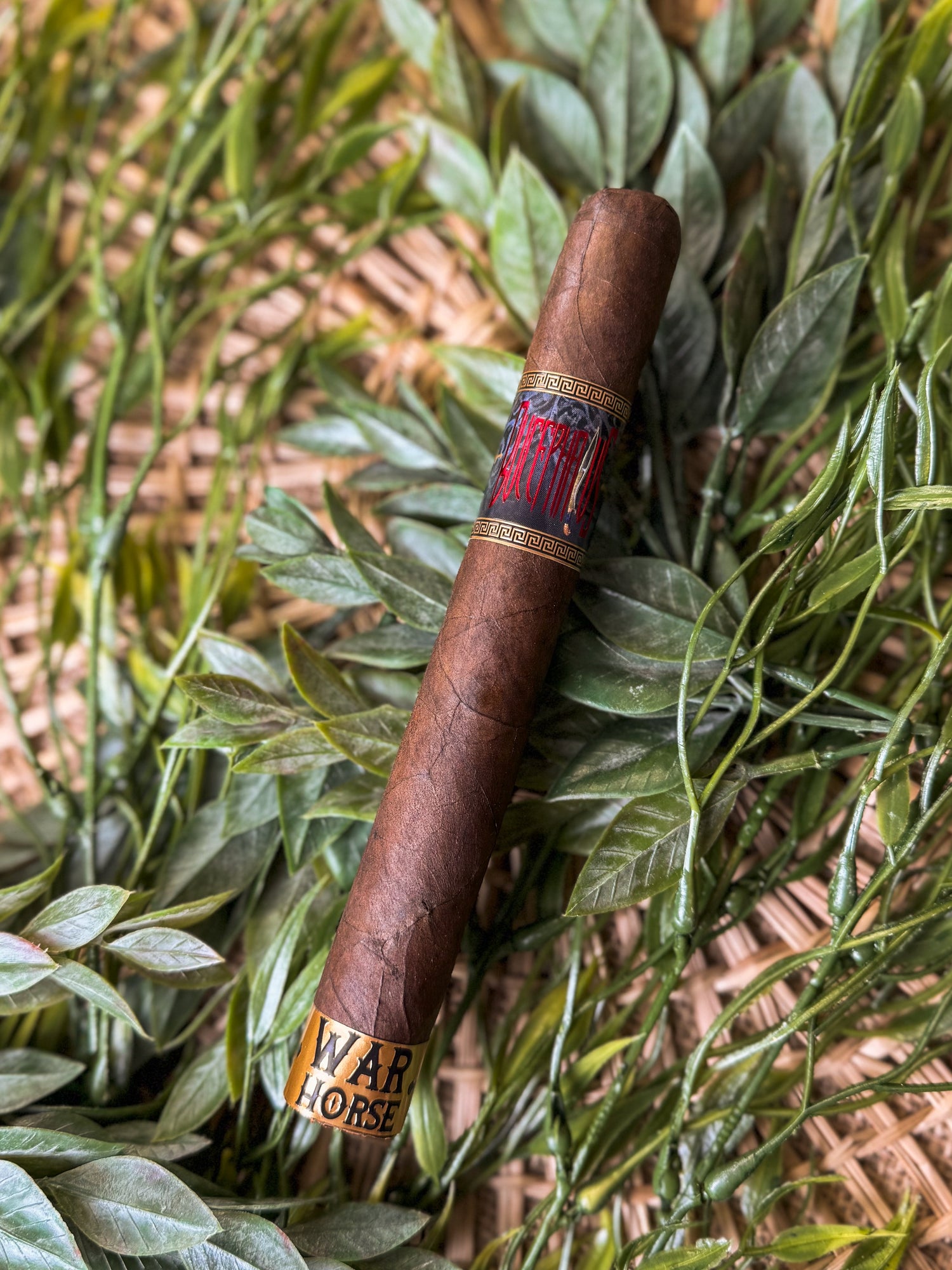 Stallone Cigars War Horse Bucephalus