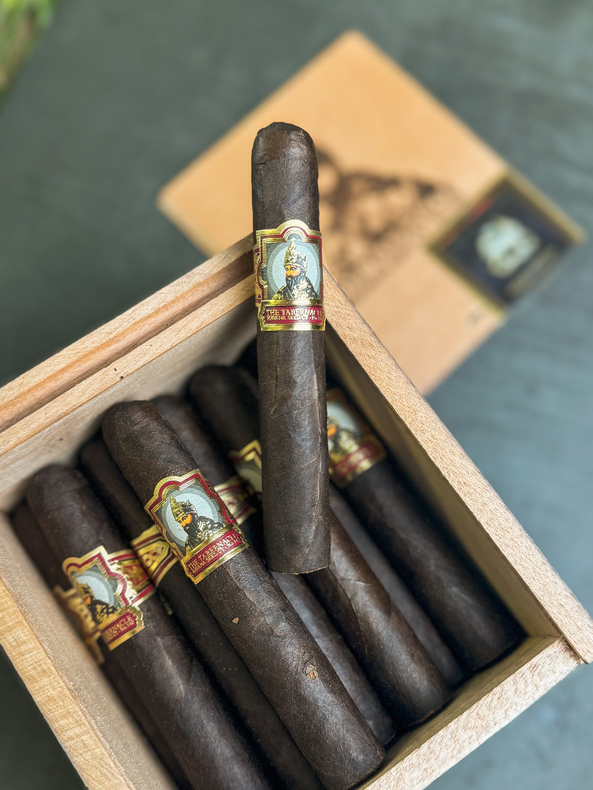 Tabernacle Havana Seed Connecticut 142 Robusto