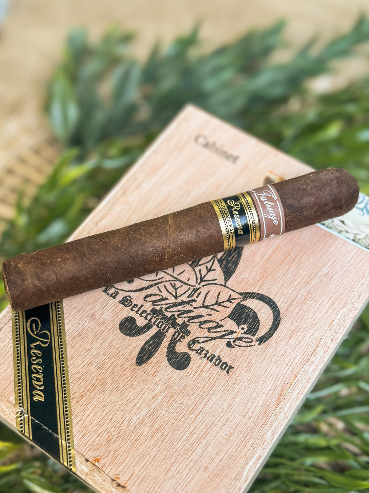 Tatuaje Broadleaf Reserva Regios