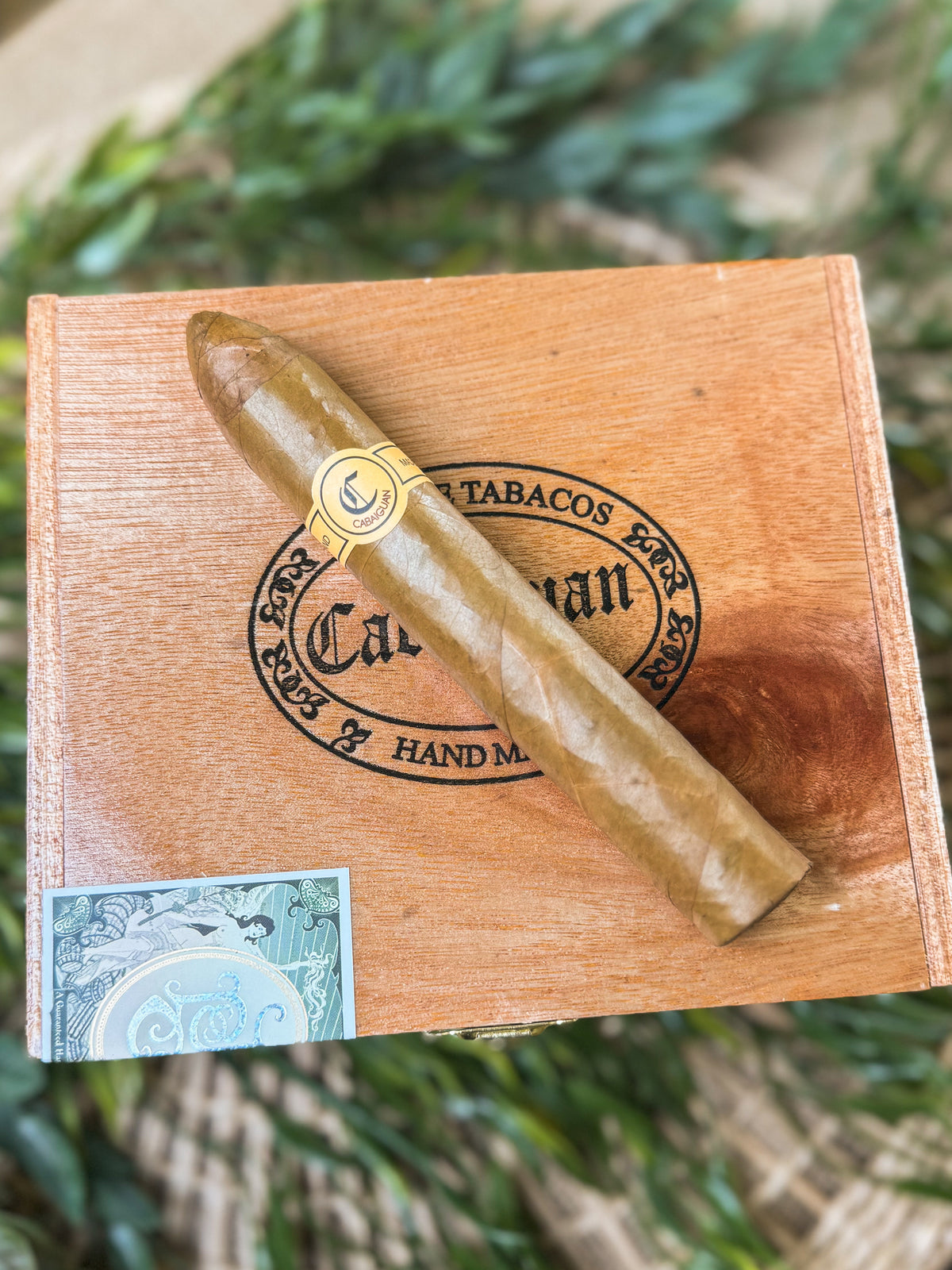 Tatuaje Cabaiguan Belicosos Finos