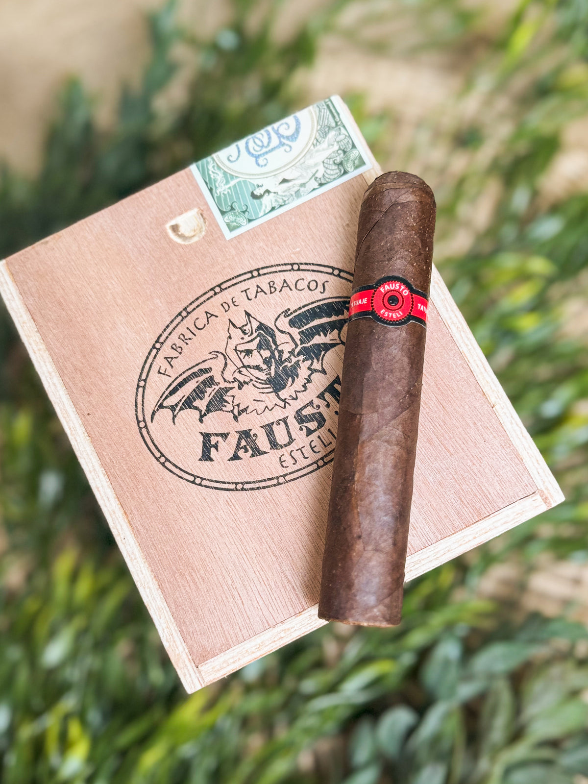 Tatuaje Fausto FT127