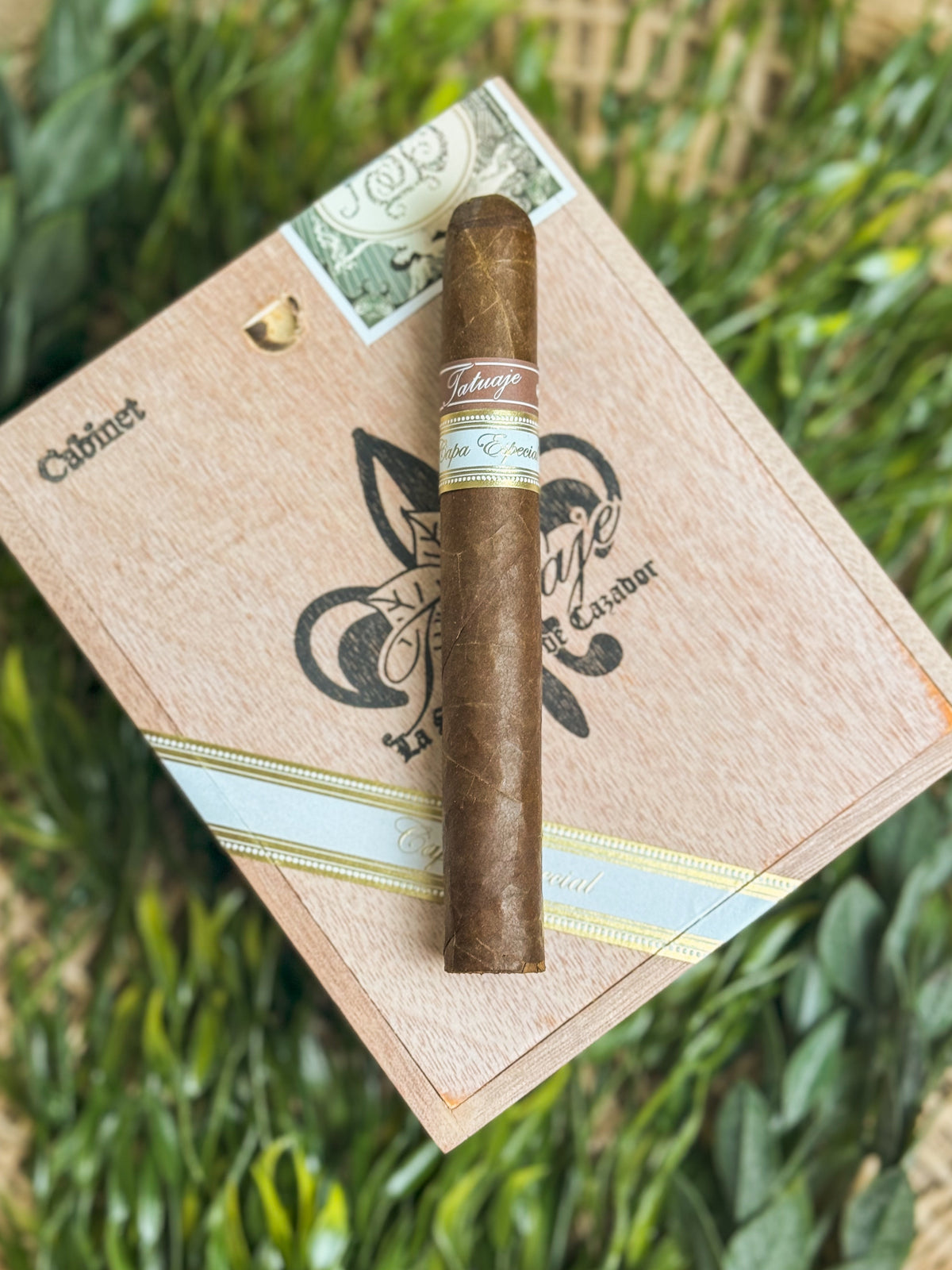 The Tatuaje 7th Capa Especial
