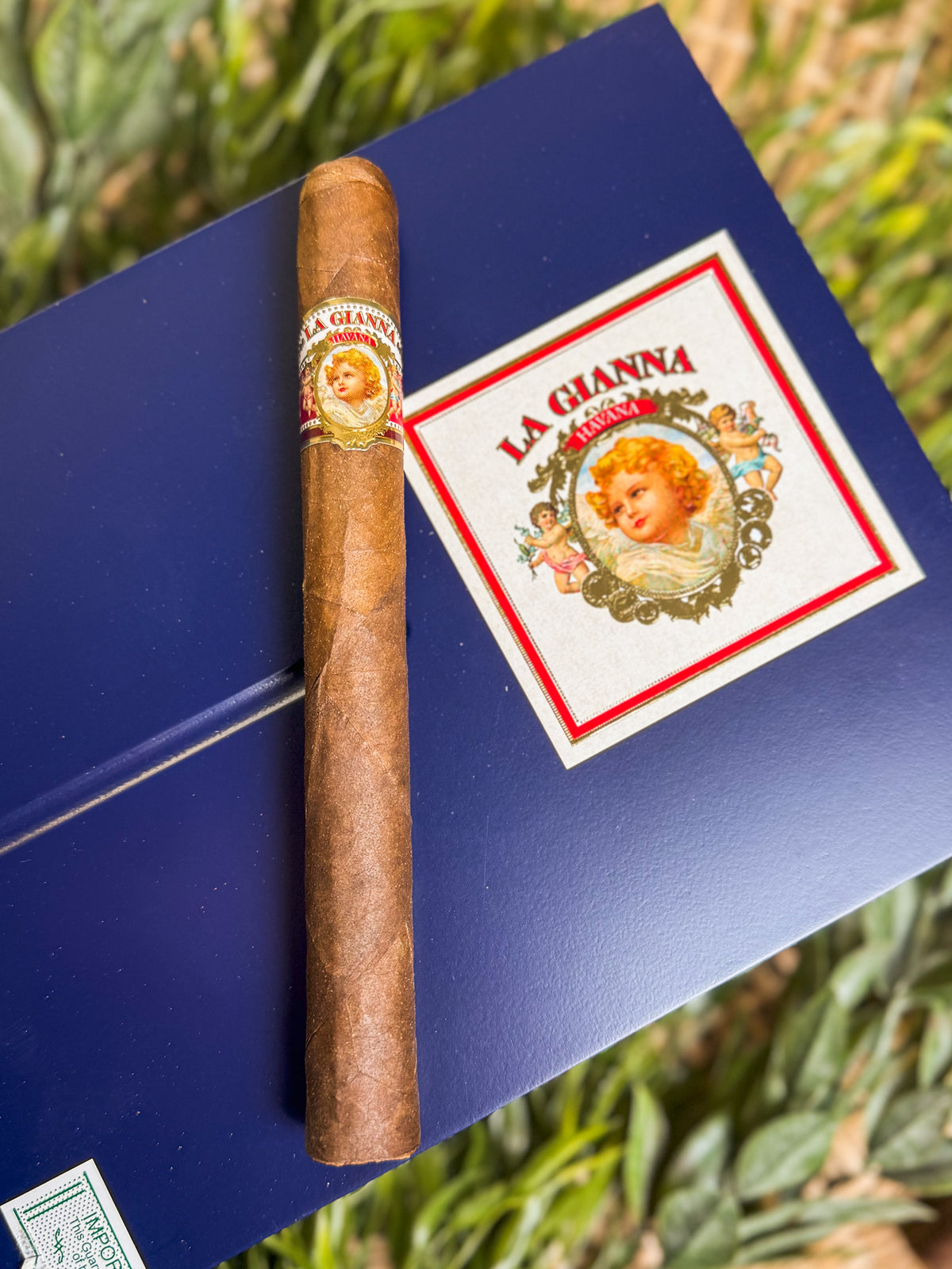 United Cigars La Gianna Maduro Churchill