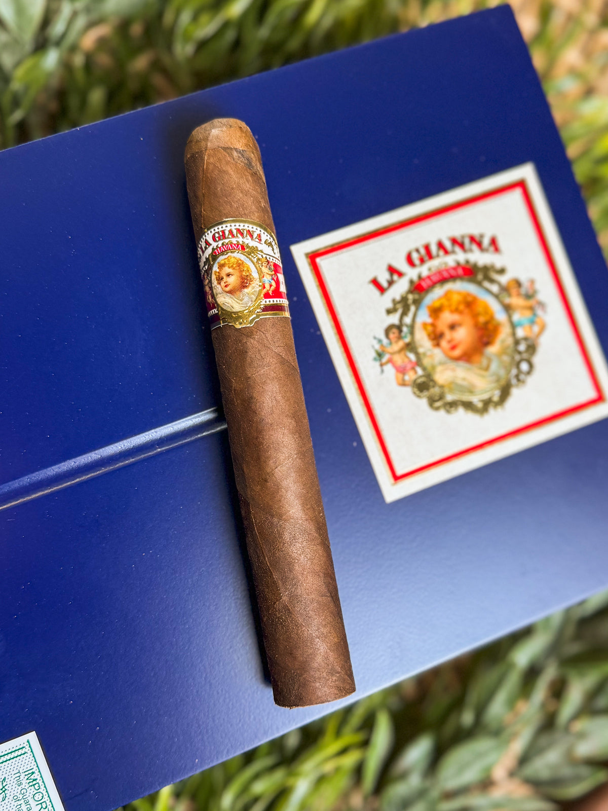 United Cigars La Gianna Maduro Toro